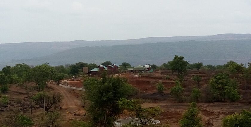 A panoramic view of Chandoli National Park showcasing lush green landscapes.