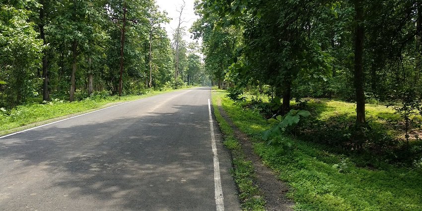 The charm of Chandrapur, where history meets nature and wildlife.