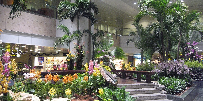 Changi Airport, the famous airport in Singapore offers world-class facilities, shopping, dining, and entertainment options.