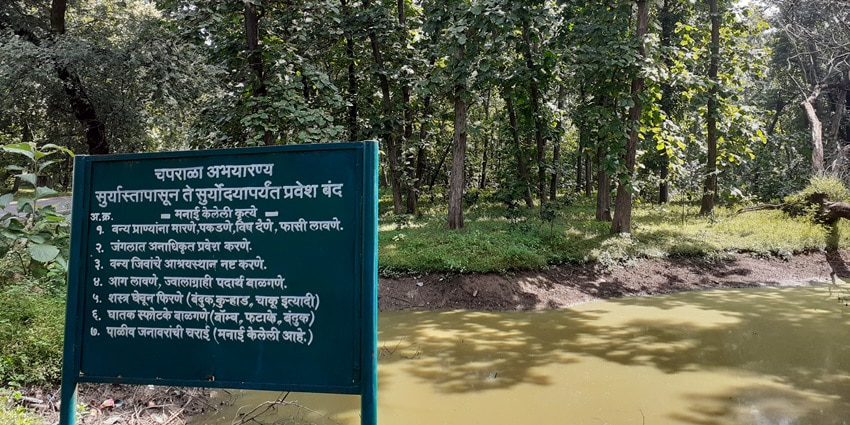 Image of a view of Chaprala Wildlife Sanctuary - explore the popular places for Chandrapur