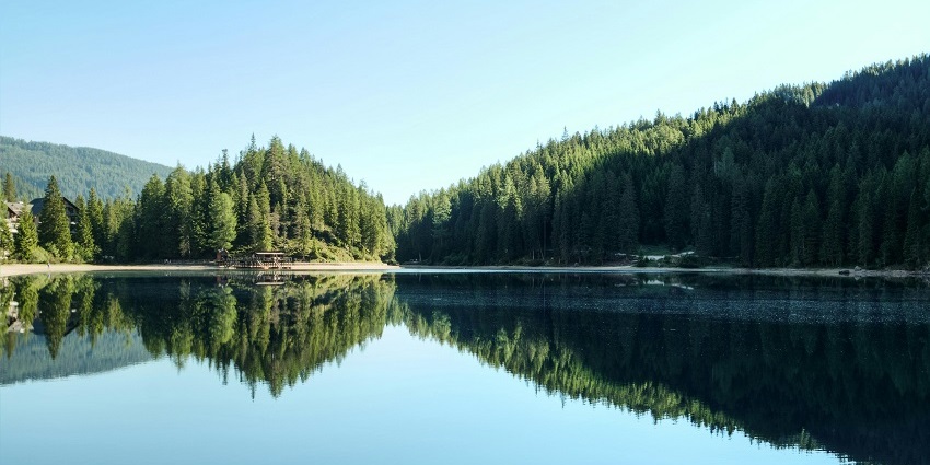 The serene Charlotte Lake in Maharashtra surrounded by lush green dense vegetation.