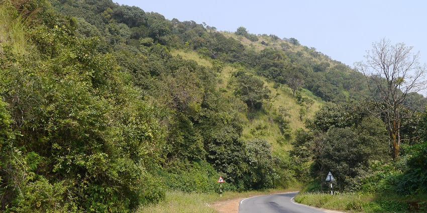 A road amidst the forest at Charmadi Ghat.