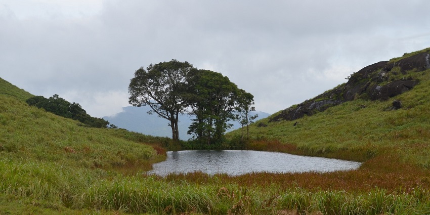 Chembra Lake is one of the best places to experience serenity in Kerala.
