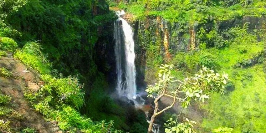Stunning Chikaldara Falls plunging into a serene pool amid the scenic hills near hill stations near Nanded