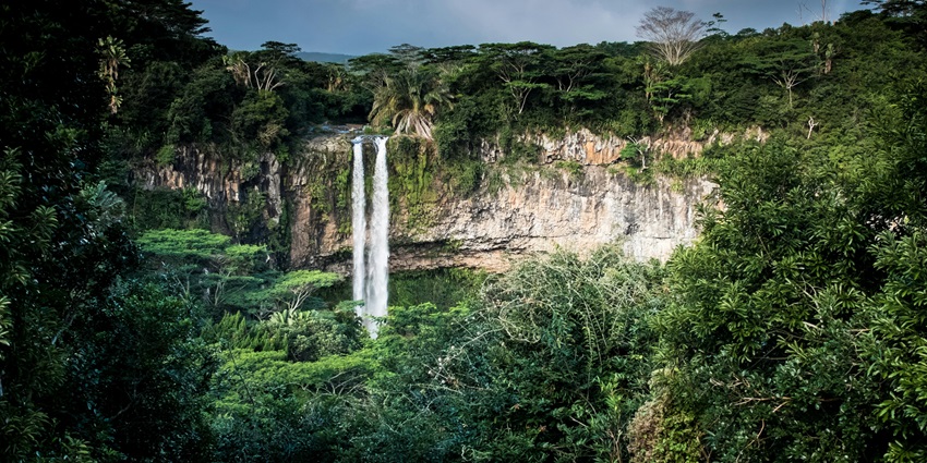 Majestic Chikaldara Falls cascades in the lush beauty of this hill station near Akola.