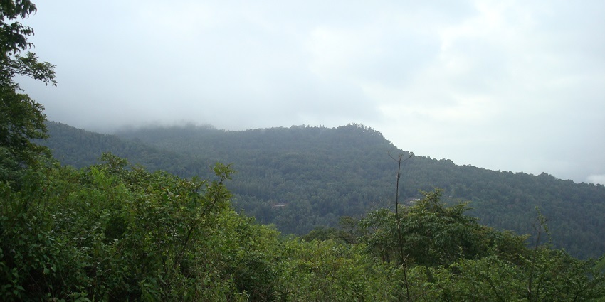 Image of Chikmagalur Hill station - One of the best places to visit in May near Bangalore
