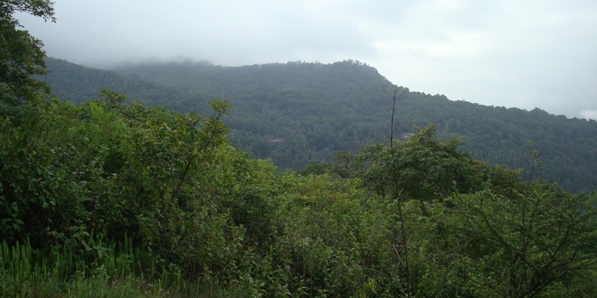 The famous places to visit in Karnataka include Chikmagalur, scenic coffee plantations, and misty hills.