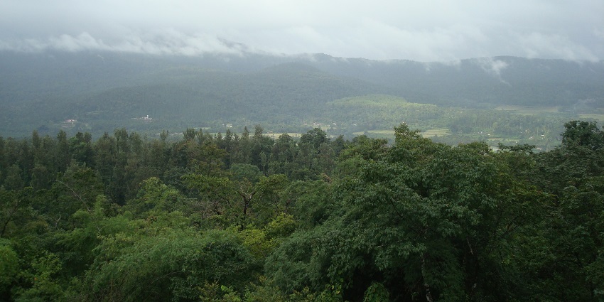 Picturesque view of Chikmagalur surrounded by lush greenery under clear blue sky during day time