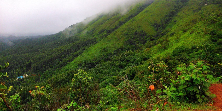 A glimpse of Chikmagalur's scenic coffee estates, hills, trekking, and stunning waterfalls.