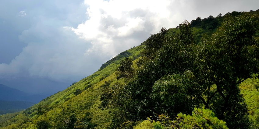 Chikmagalur, is the best place to visit in Karnataka in June with scenic landscapes.