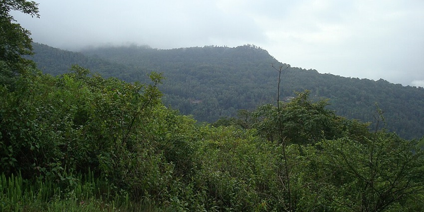 Chikmagalur Hill station is known for its coffee estates, misty hills, Hebbe Falls, and trekking.