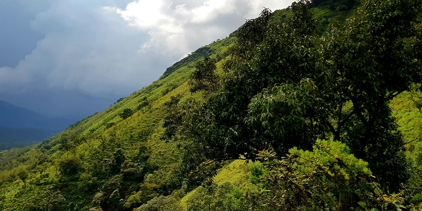Chikmagalur is the headquarters of the Chikmagalur district, 251 km from Bangalore.