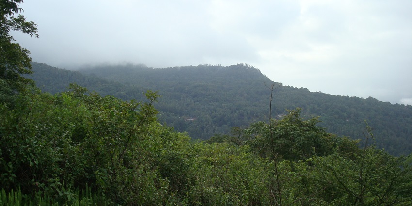 Chikmagalur, place to visit in april in Karnataka, is known for its rolling hills