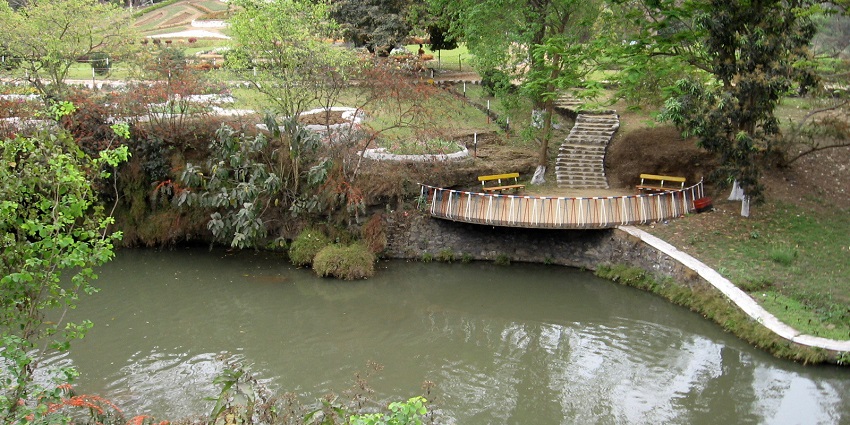 A view of an artificial lake in Nehru Park, one of the most relaxing things to do in Coimbatore.