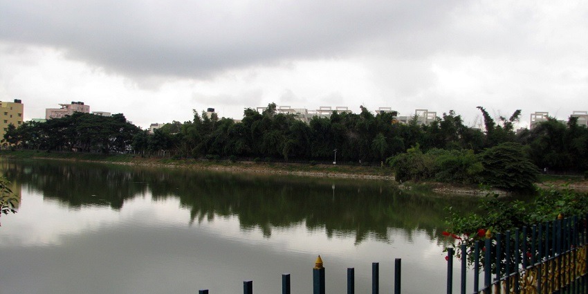 A view of Chinnappanahalli Lake, one of the top places to visit near Whitefield Bangalore.