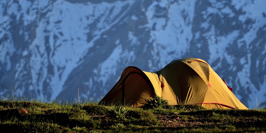 An isolated tent amidst greenery offers a unique experience of camping in Leh.