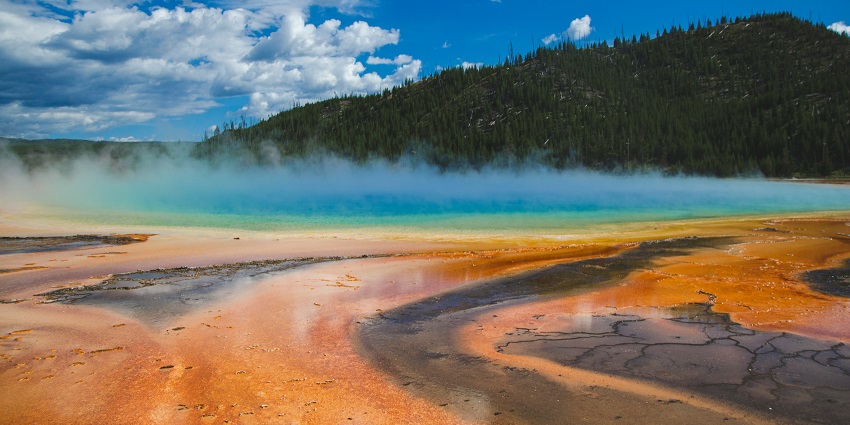A mesmerising view of the Chumathang Hot Springs featuring misty air and lush greenery.