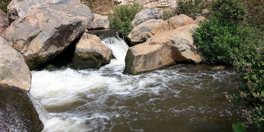 Stunning cascades of Chunchi Falls, one of the places to visit near Bangalore within 100 kms.
