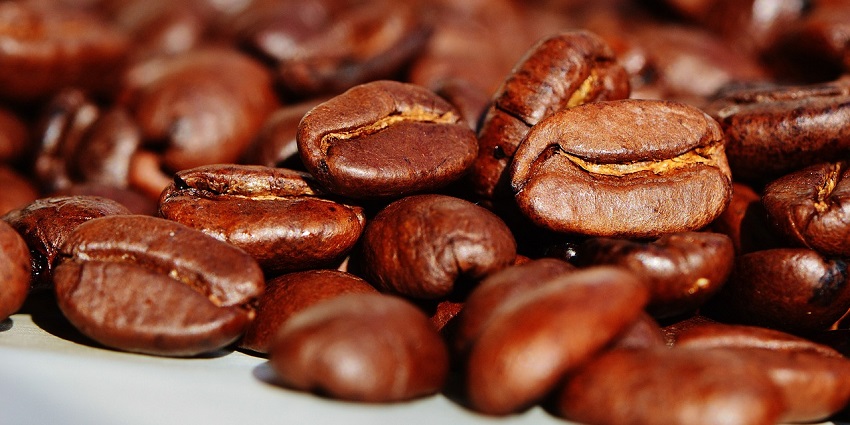 A picture of the Coffee Museum, which is an insightful attraction point in Yercaud