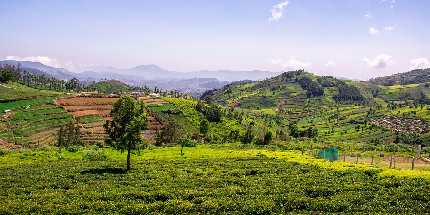 Coonoor, one of the best hill stations near Ooty with lush tea estates and views.