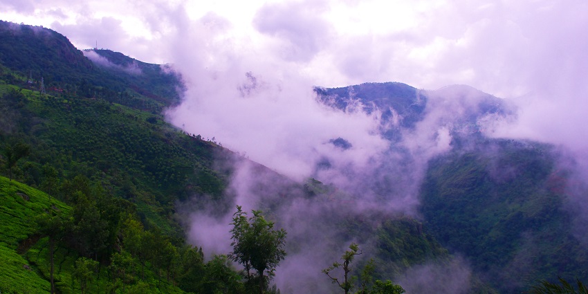 Weekend places near Coimbatore feature quaint hill Station, known for tea gardens and tranquility