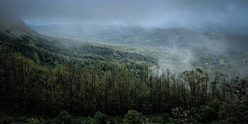 Lush green beauty of Coorg, one of the best places to visit near Mysore, Karnataka.