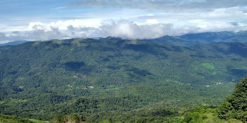An image of Coorg - a scenic hill district famous for coffee, spice plantations, and waterfalls.