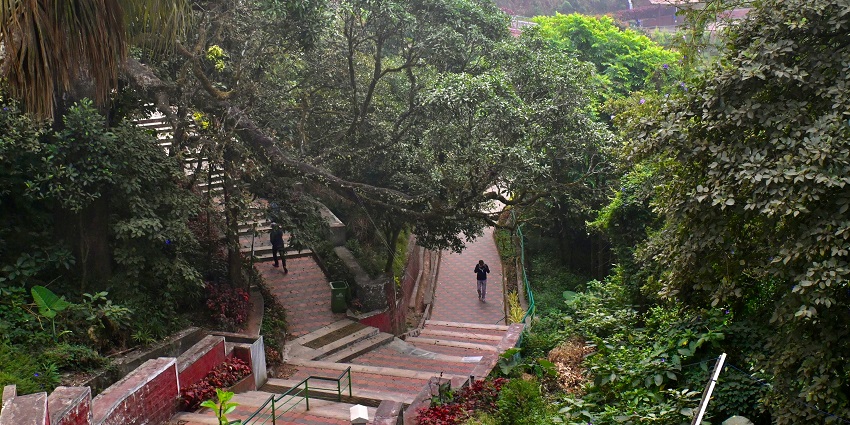 Image of Raja's seat garden in Coorg, surrounded by lush greenery and misty weather