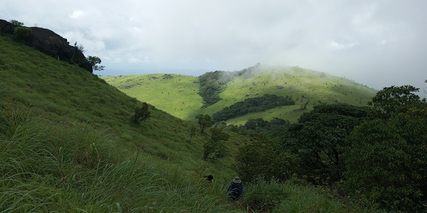 A picture of the idyllic mountains in Karnataka’s Coorg region with a lush cover of greenery
