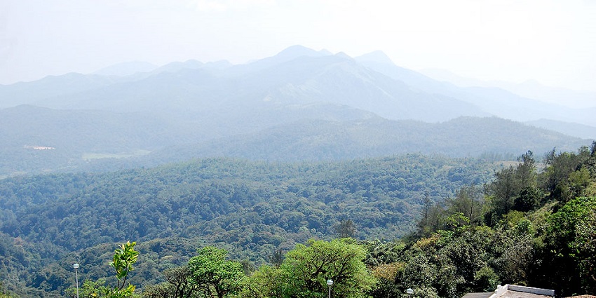 Lush green hills of Kodagu, a top choice among places to visit near Bangalore in August.