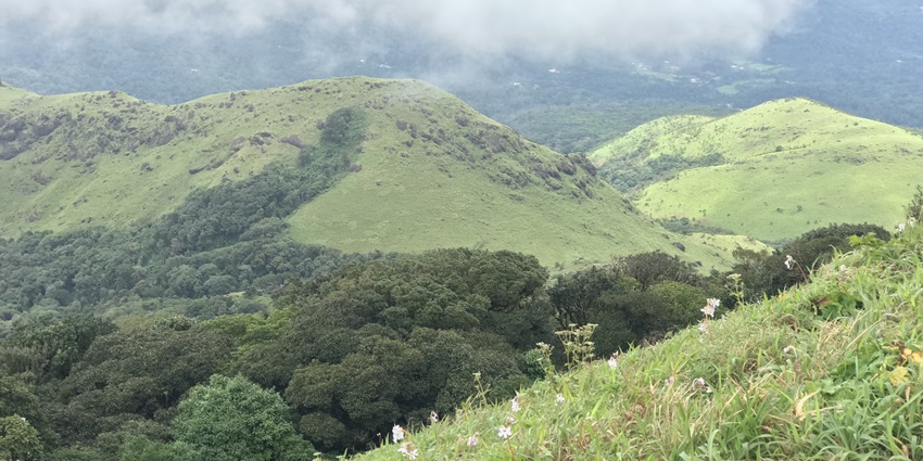 A picture of a trekking trail in Bangalore which is one of the best places to visit in march