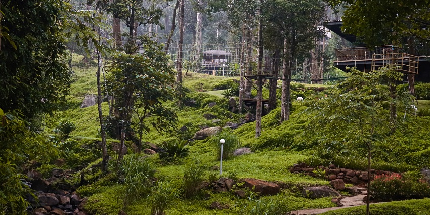 Coorg is a must visit place to visit near Bangalore in monsoon due to its picturesque beauty