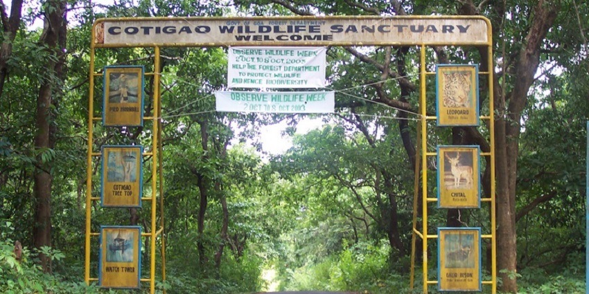 Catigao Wildlife Sanctuary is a must-visit destination for fun and exploration amid nature.