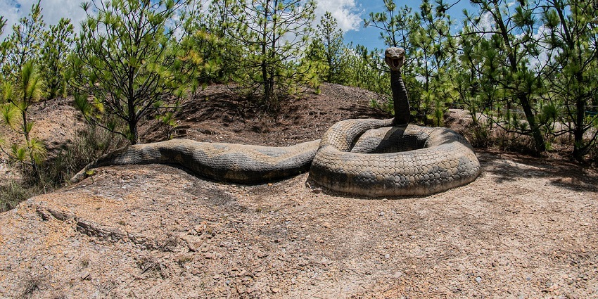 A picture of a large snake sculpture at Courtallam Snake Park's unique attraction.