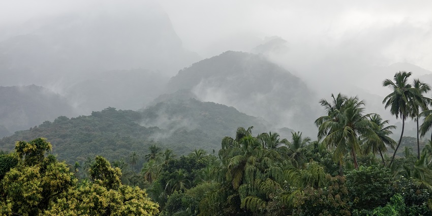 A picture of the mist mountains of Courtallam, one of the popular hill stations near Tenkasi.
