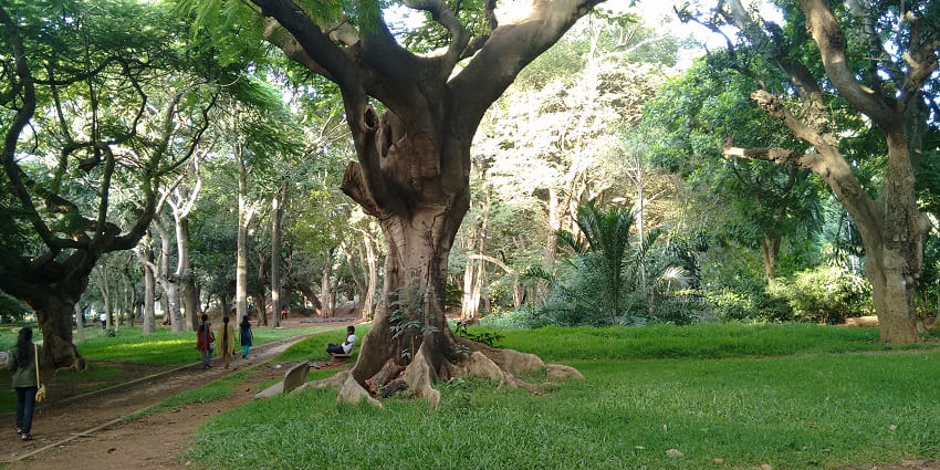 Cubbon Park, among the top places to visit Bangalore with friends for relaxation
