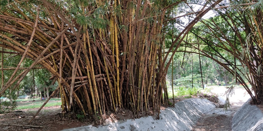 Cubbon Park is one of the notable places to visit near Marathahalli Bangalore, India.