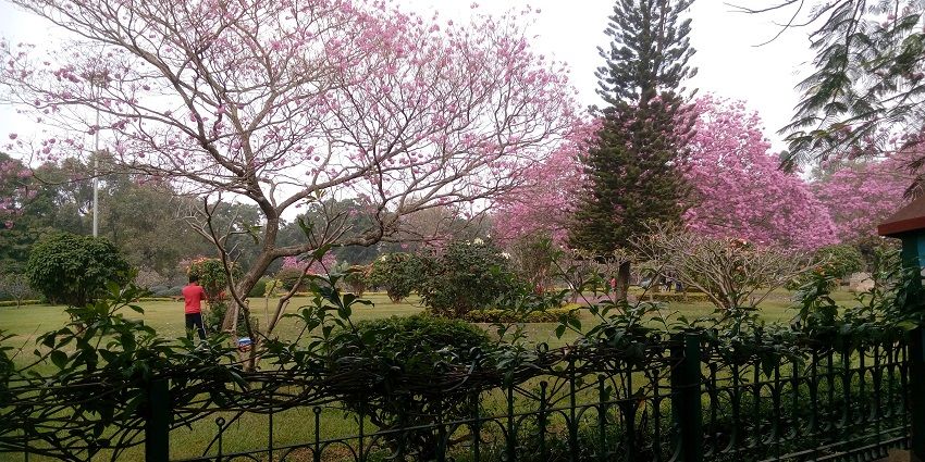 A place to visit in Bangalore for children to explore and enjoy nature.