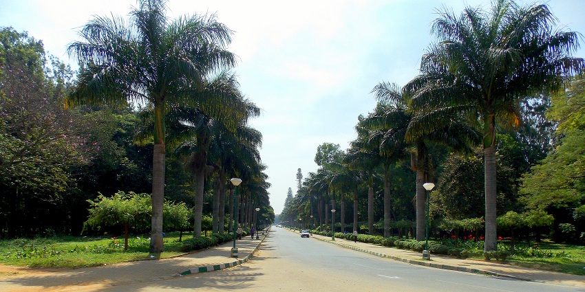 An image of Cubbon Park which is one of the peaceful places to explore in Banglore.