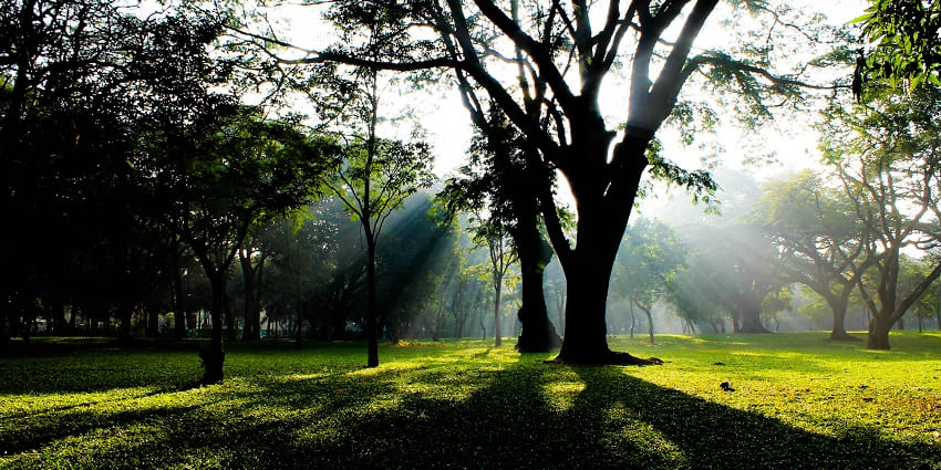 The famous places to visit in Bangalore with family and kids include the Cubbon Park, green space for walks