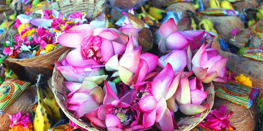 A stunning view of Bursting with fresh flowers, perfect for any occasion.