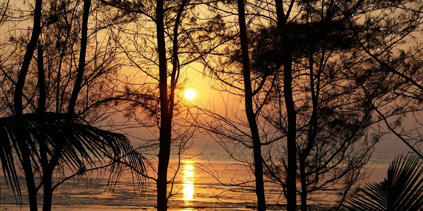 A scenic view of a sunset at Dahanu - one of the places near Mumbai for weekend.