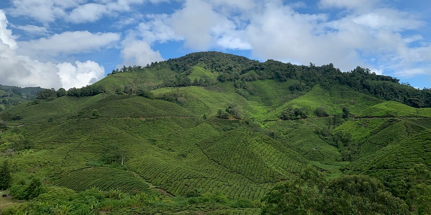 An image of Dainkund Peak, known for its panoramic views of the Pir Panjal mountain range.