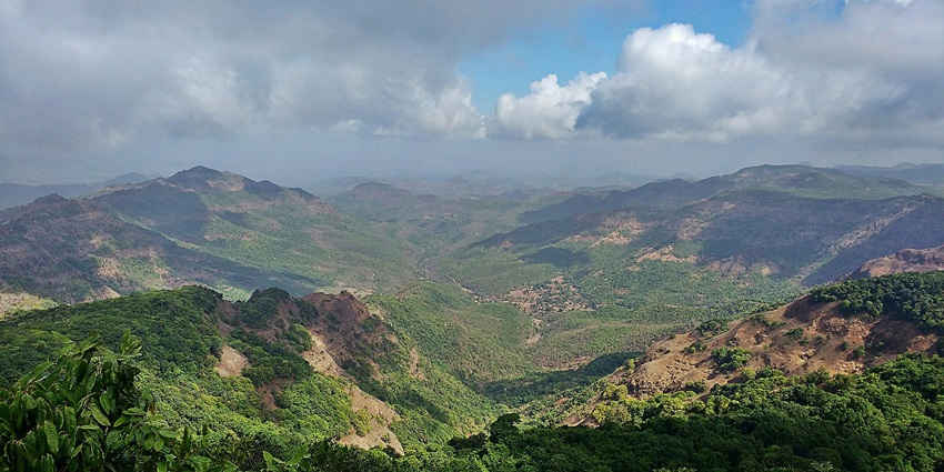 An image of wildlife and lush greenery at Dajipur Wildlife Sanctuary.