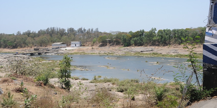 This river bank is ideal for the activity.