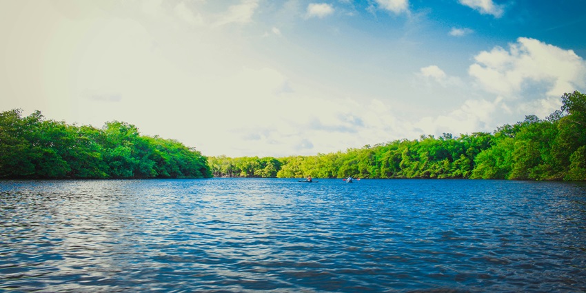 Picturesque view of the Damdama Lake surrounded by lush greenery on all sides