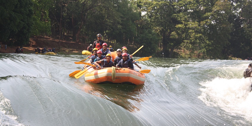 Adventure and serenity blend seamlessly in Dandeli's wilderness.