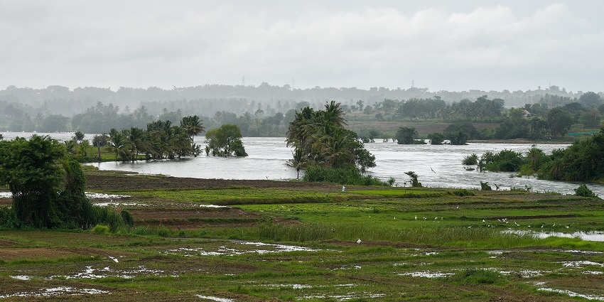 Flooded landscape with palm trees and green fields partially submerged under a cloudy sky