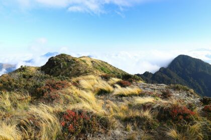 A picture of adventurous trekkers embarking on dangerous trekking places in Maharashtra