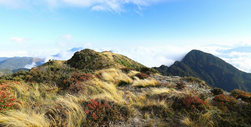 A picture of adventurous trekkers embarking on dangerous trekking places in Maharashtra